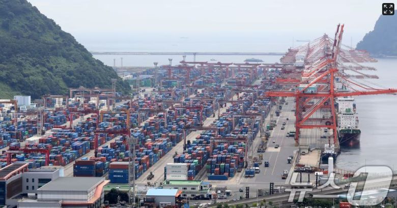 부산항 신선대부두 야적장에 컨테이너가 가득 쌓여 있는 모습. /뉴스1