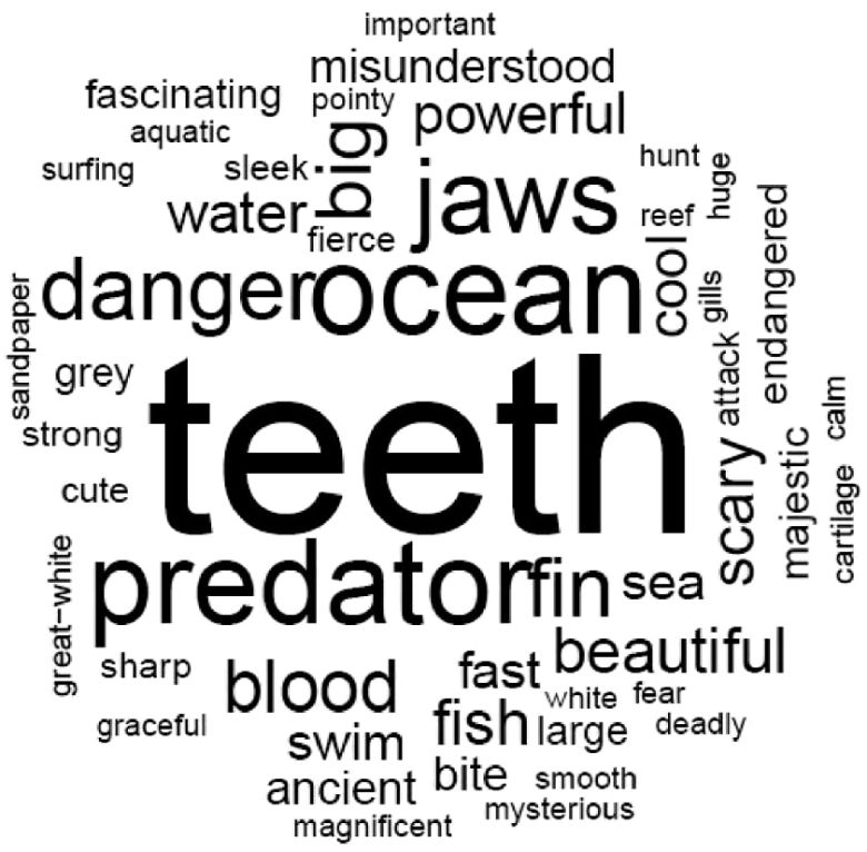 미국, 호주, 영국인 371명이 상어에 대한 이미지를 세 단어로 말하게 했을 때 제시된 단어들로 만든 워드 클라우드. 이빨, 포식자, 턱 같은 부정적 단어가 많이 나왔지만, 사용 단어의 66%는 중립적 이미지였다./Wildlife Research
