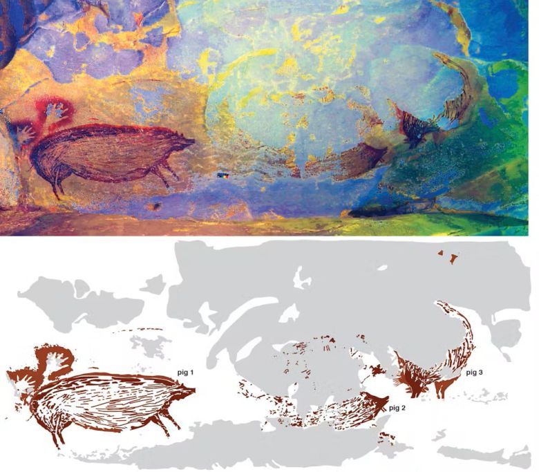 인도네시아 술라웨시섬의 레앙 테동게(Leang Tedongnge) 석회암 동굴에서 발견된 4만5500년 전의 벽화. 돼지 한 마리가 다른 두마리를 마주 보는 모습이다./Science Advances