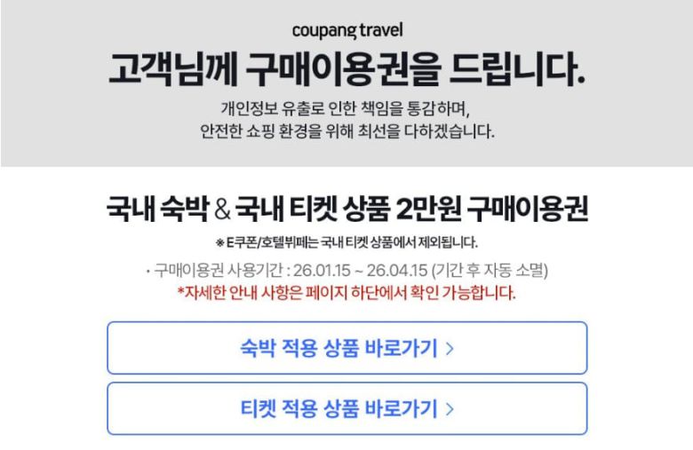 쿠팡트래블 구매이용권 안내문. 작은 글씨로 'E쿠폰/호텔뷔페는 국내 티켓 상품에서 제외됩니다'라고 적혀있다. /쿠팡트래블 캡처