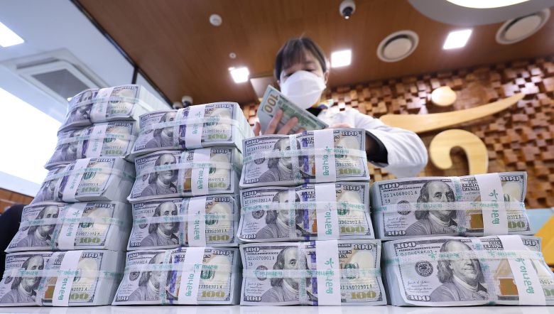 서울 중구 하나은행 위변조대응센터에서 직원이 달러화를 정리하고 있다. /뉴스1