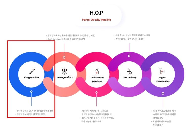 한미약품의 ‘H.O.P(Hanmi Obesity Pipeline)’ 프로젝트 개요도. 한미약품은 해당 프로젝트를 통해 비만 치료 전주기적 영역을 아우르는 '맞춤형 치료제'를 선보인다는 목표다./한미약품