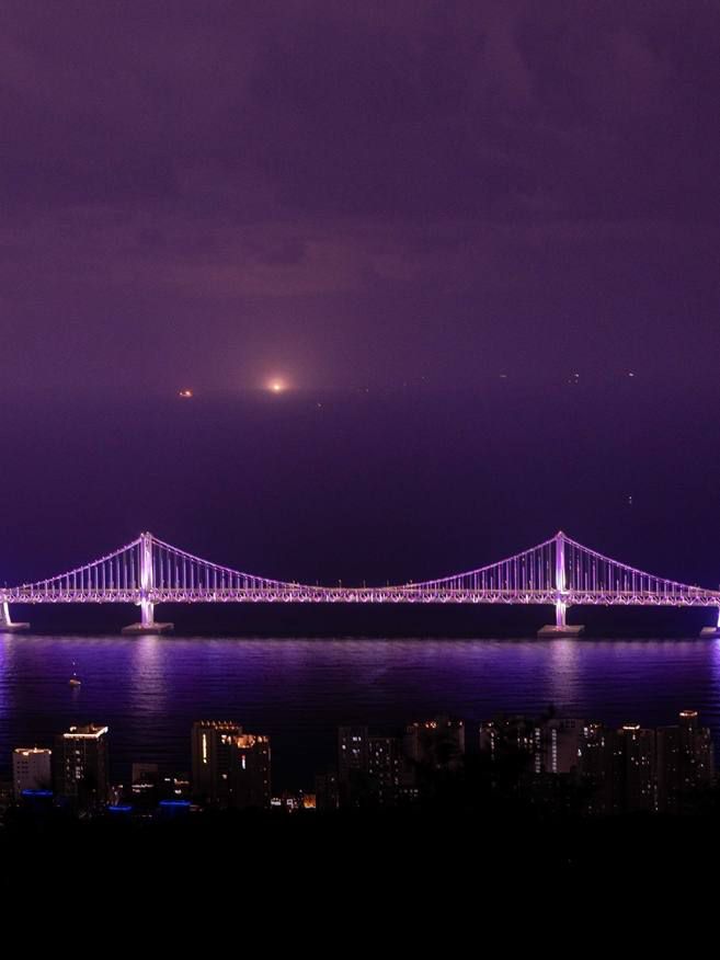 보라색으로 물든 부산 시내. 하이브