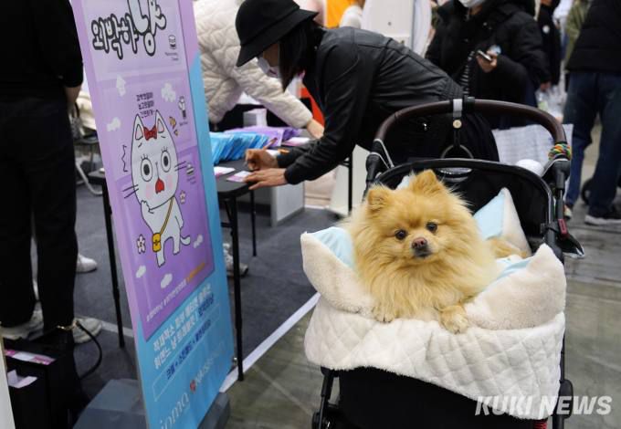 지난 3월 경기 고양시 킨텍스에서 열린 '2023 서울펫쇼'에 반려동물과 함께 방문한 반려인.   사진=박효상 기자