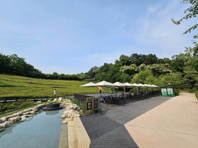 불암산 철쭉동산. 서울시