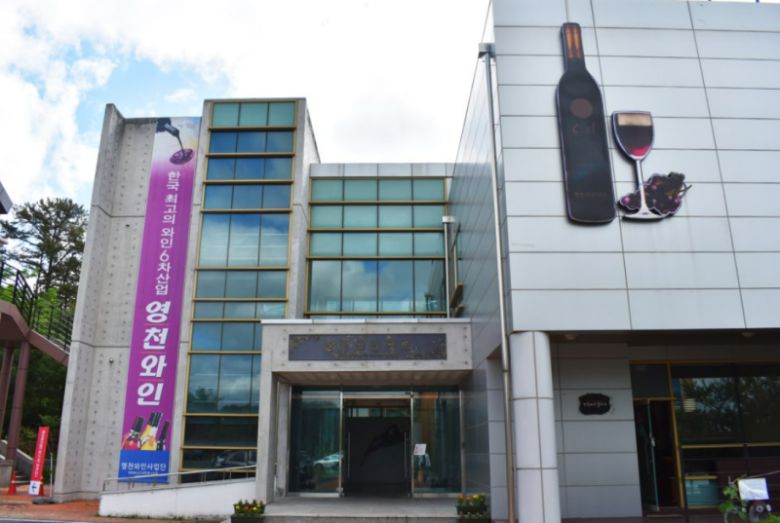 경상북도 영천시가 한국여자바둑리그 신생팀 ‘영천 명품 와인’을 창단했다. 경상북도 공식블로그 캡처