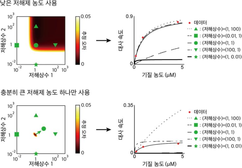 낮은 저해제 농도(위)와 충분히 높은 농도(아래)를 사용했을 때의 저해상수 추정 결과 비교. 낮은 농도를 사용할 경우 추정 오차가 낮은 영역이 너무 넓어 실제 저해상수와 100배 차이가 나는 저해상수 값도 실제 데이터를 잘 예측한다. 따라서 저해상수를 정확하게 추정하기 어렵다. 반면, 충분히 높은 농도를 사용하면 추정 오차가 낮은 영역이 좁아져 저해상수를 더 정확하게 추정할 수 있다. KAIST