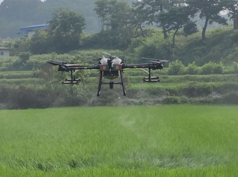 무인항공 병해충 방제 전경. 예천군 제공