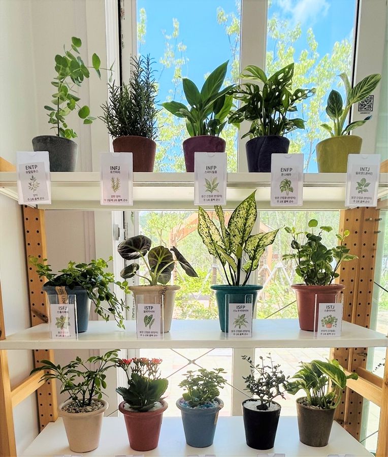 국립정원문화원 가든샵에서 판매 중인 MBTI 유형별 반려식물. 한국수목원정원관리원