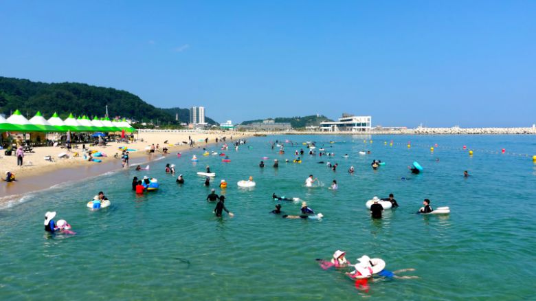 후포해수욕장 전경. 울진군 제공