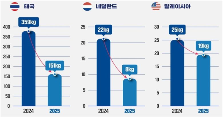 마얀단속 국제공조 성과. 관세청