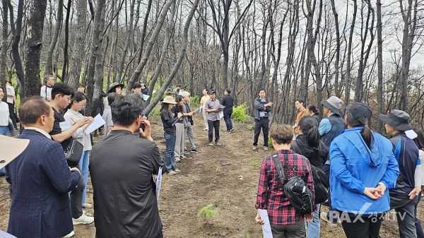 산림청은 경상북도 의성군 소재의 영남권 대형산불 피해지의 합리적인 복원 방향을 마련하기 위해 '산불피해 복원·복구 추진단 현장토론회'를 열었다고 26일 밝혔다. [사진제공=산림청]