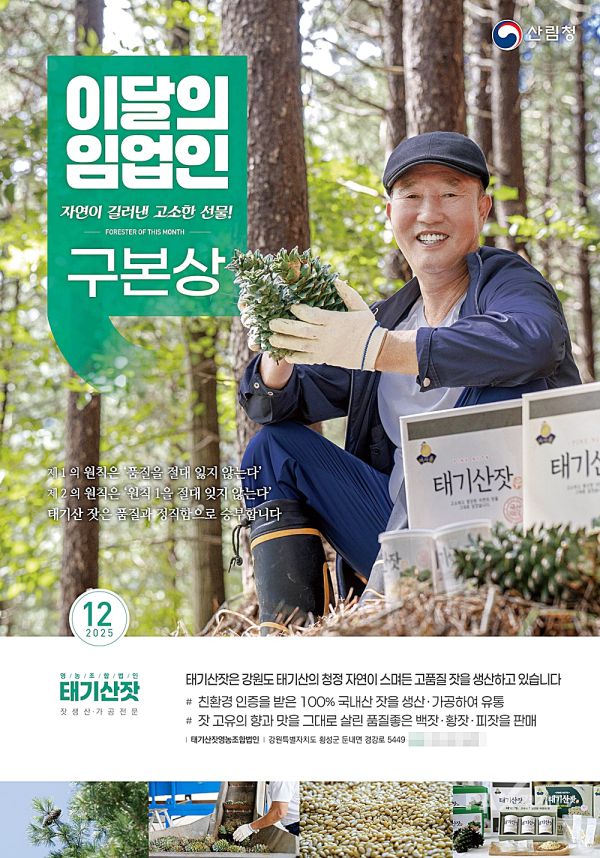 [사진제공=산림청]