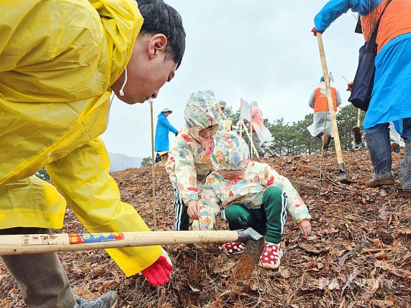 2025년 충청남도 공주시에서 열린 식목일 행사에서 참가자들이 나무를 심고 있다. [사진제공=산림청]