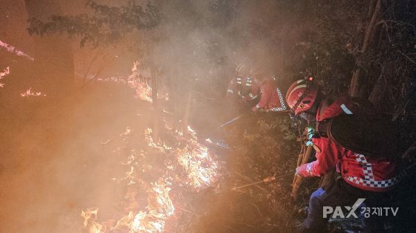 21일 발생한 부산 기장 산불을 산림청 산불특수진화대가 진화하고 있다. [사진제공=산림청]