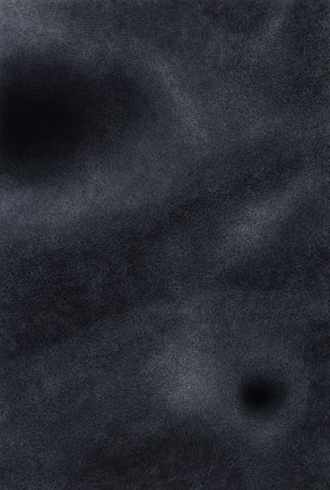 Untitled_Panorama-2s_190x130cm_Gesso on velvet_2019 ⓒ배상순