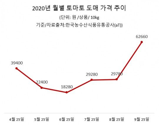 2020년 월별 토마토 도매 가격 추이.