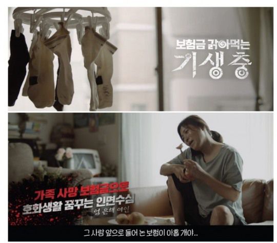 영화 ‘기생충‘ 패러디 홍보 영상 스틸컷. 사진 제공=금감원