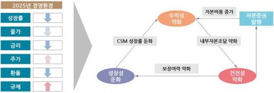2025년 보험산업 전망./자료 = 보험연구원