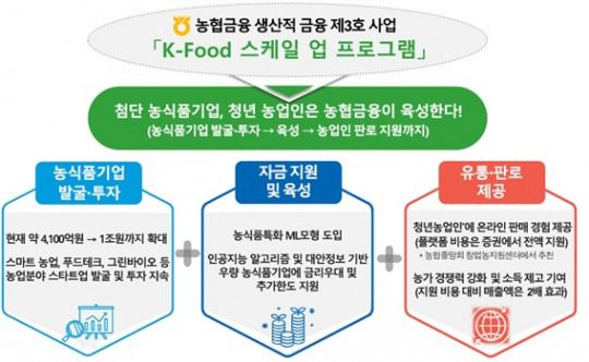 농협금융 생산적금융 제3호 사업인 'K-Food 스케일 업 프로그램' / 사진제공=NH농협금융