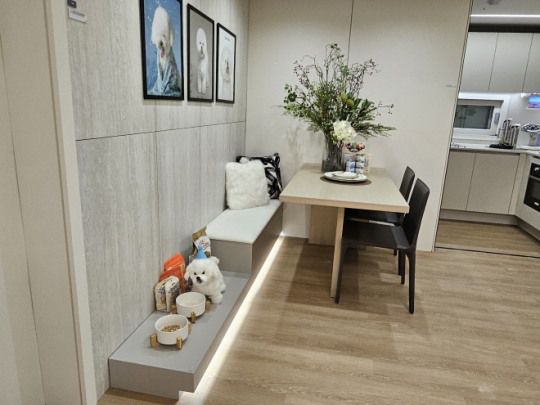 유상옵션인 펫테리어로 꾸민 유니트 전경./한국금융신문 조범형 기자