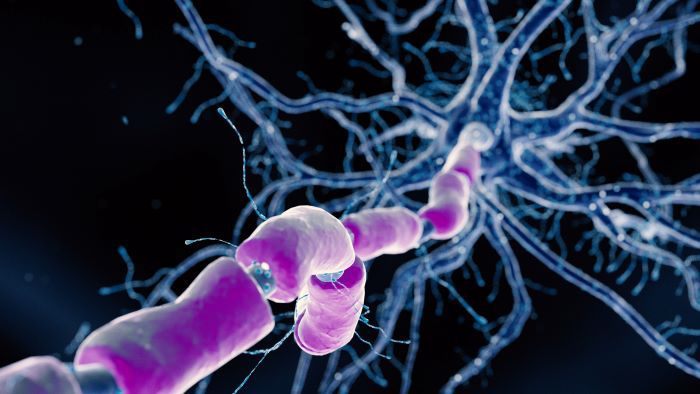 [출처 : 123RF.com]