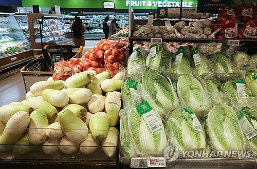 [연합뉴스 제공]