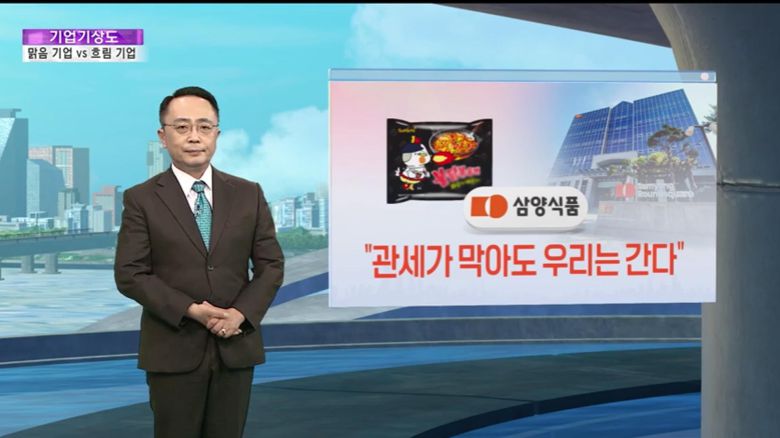 연합뉴스TV