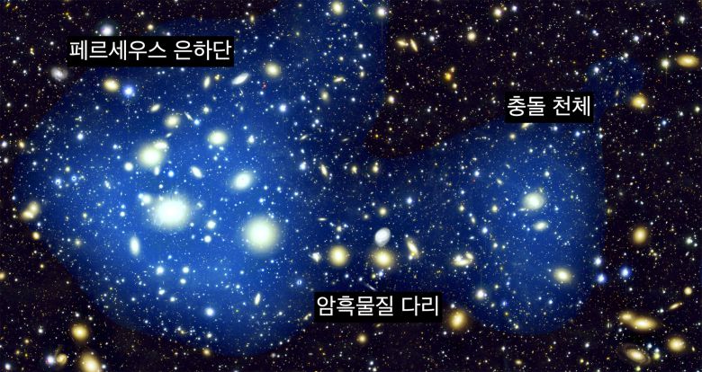 [연세대학교 제공]