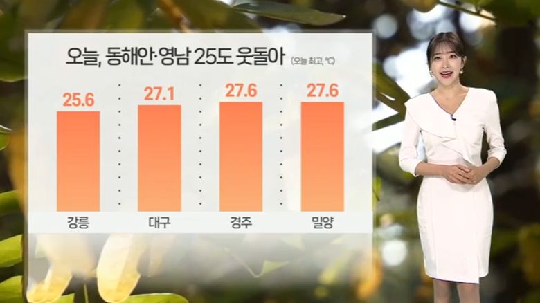 연합뉴스TV