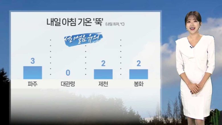연합뉴스TV