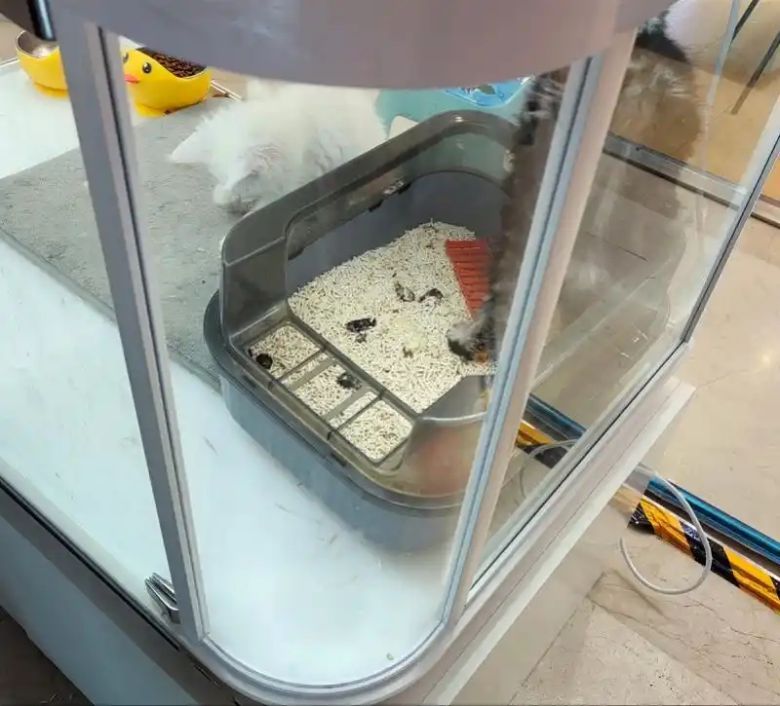 [사진 출처 = 남방 메트로폴리스]