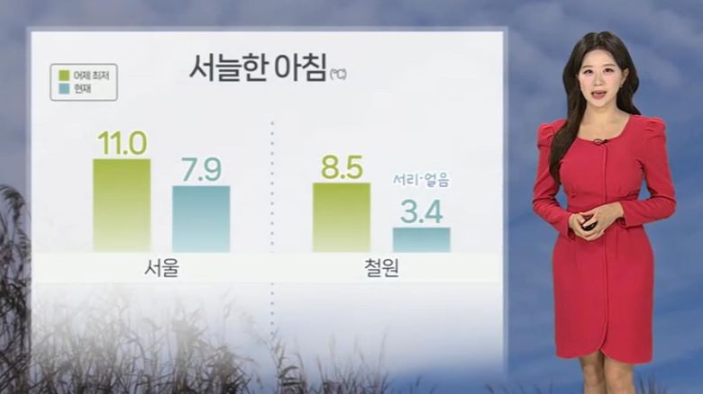 연합뉴스TV