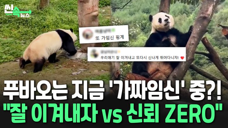 연합뉴스TV