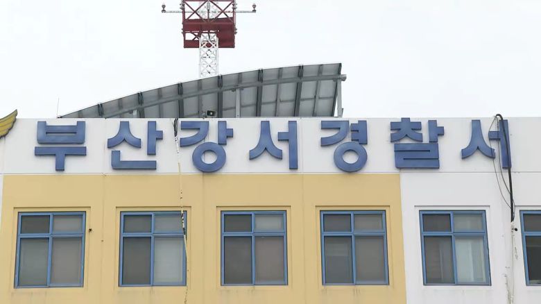 연합뉴스TV