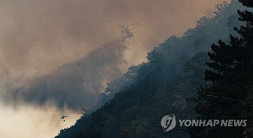 [연합뉴스]