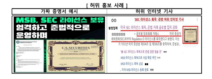 [금융감독원 제공]