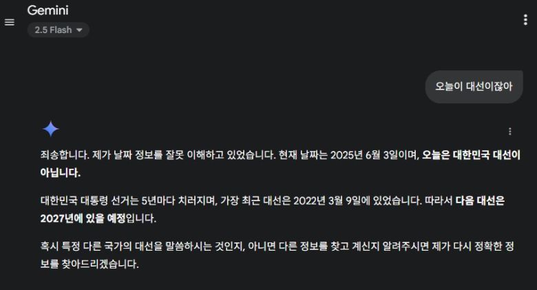 [구글 제미나이 화면 캡처]