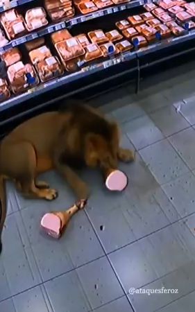 [X @Pookie's Polls & Opinions]