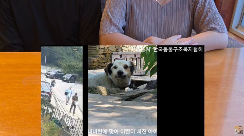 ['멍멍이삼촌과 동행 반려견행동교정' 유튜브 캡처]
