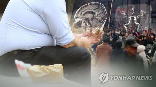 [연합뉴스TV]