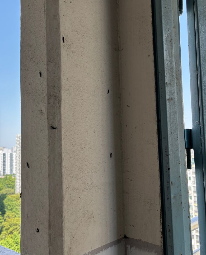 [김민서 인턴 기자]