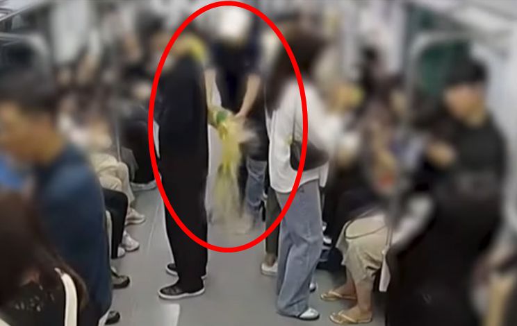 [서울남부지검 제공]