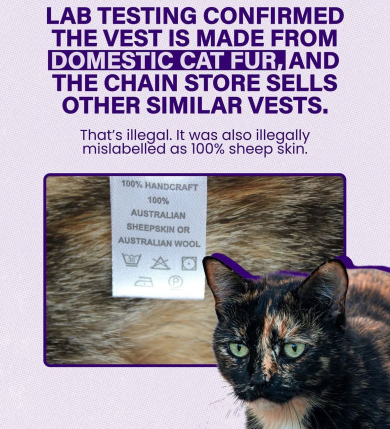 [Collective Fashion Justice 인스타그램 캡처]