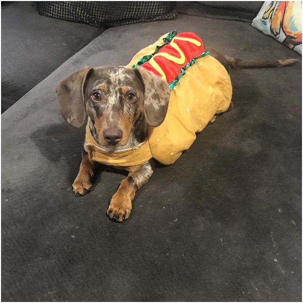 [사진 출처 = 뉴욕포스트]