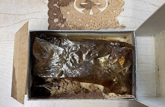 [사진 출처 = 데일리메일]