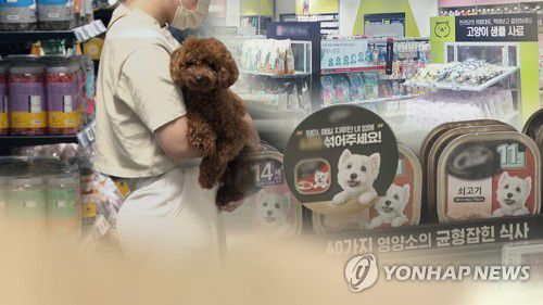[연합뉴스TV 제공] ※ 이 사진은 기사 내용과 직접적인 관련이 없습니다.