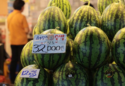 [연합뉴스 제공]