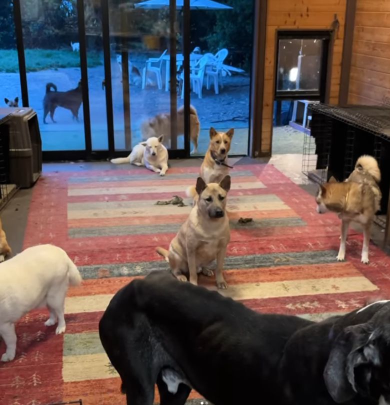 [완즈프리 인스타그램 캡처]