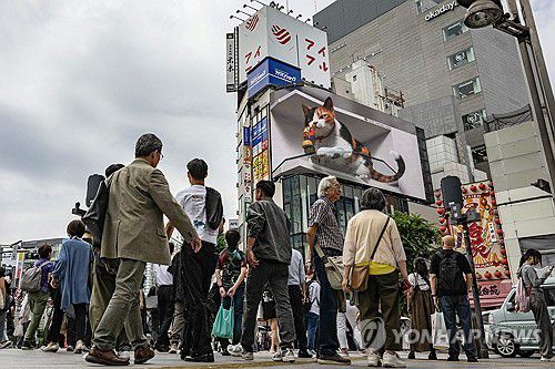 [AFP=연합뉴스 자료사진 제공]
